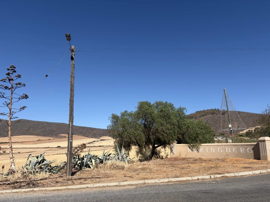 0 Bedroom Property for Sale in Koringberg Western Cape
